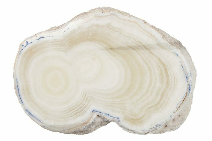 Polished Aragonite Stalactite Slice - Morocco #255417